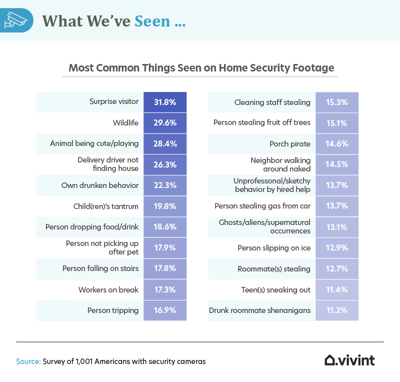 A list of most common things seen on home security footage