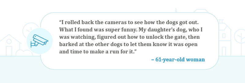 User submission that reads: I rolled back my cameras to see how the dogs got out. My daughter's dog figured out how to unlock the gate, then barked at the other dogs to let them know it was open and time to make a run for it.