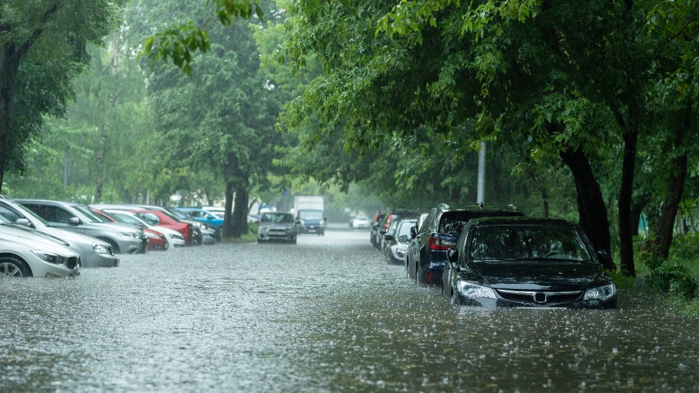 Cars partially submerged in water during a flood.