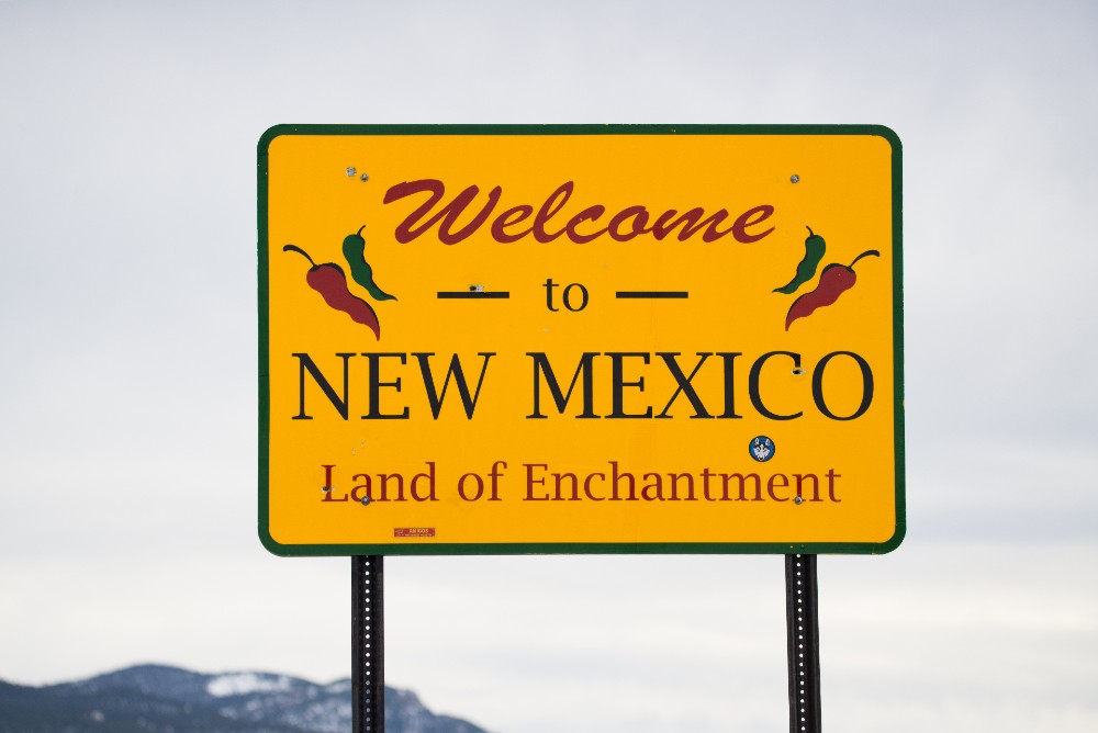 A New Mexico state sign on the side of the road.