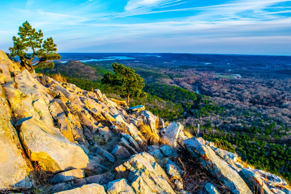 Arkansas wilderness at twilight