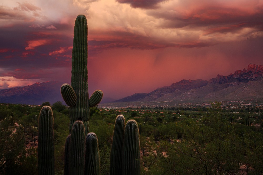 A monsoon downpour on the Santa Catalina mountains during sunset in Oro Valley Arizona