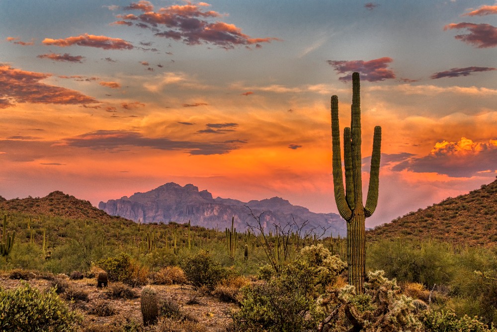 Sunset in the Sonoran Desert near Phoenix Arizona