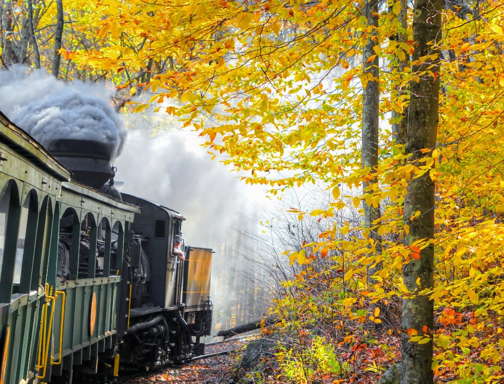 Train in West Virginia woods