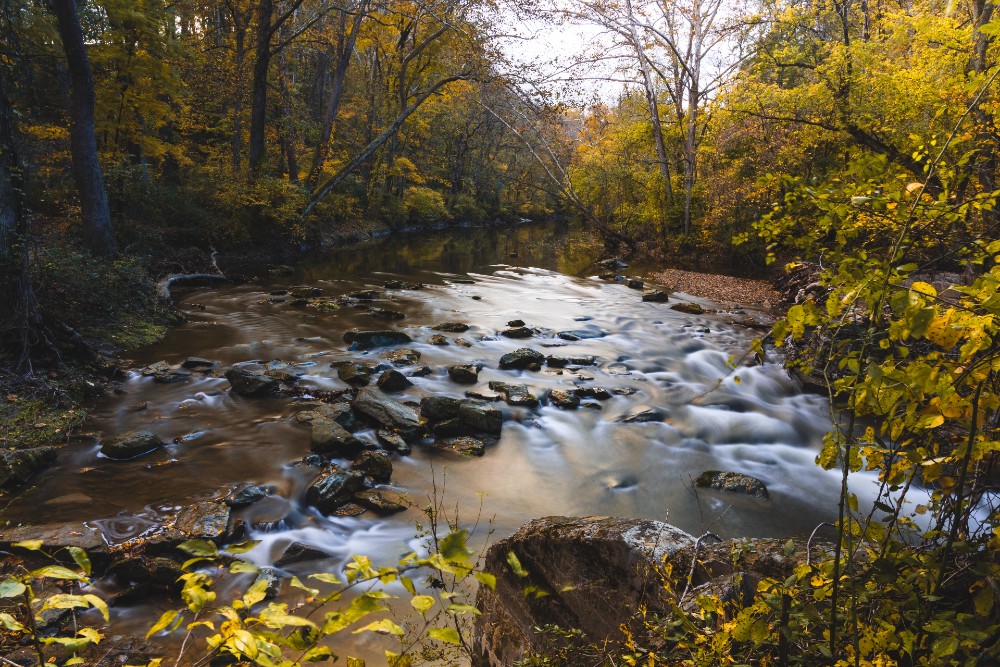 Scenic view of a river flowing in the forest in White Clay Creek State Park in Newark Delaware