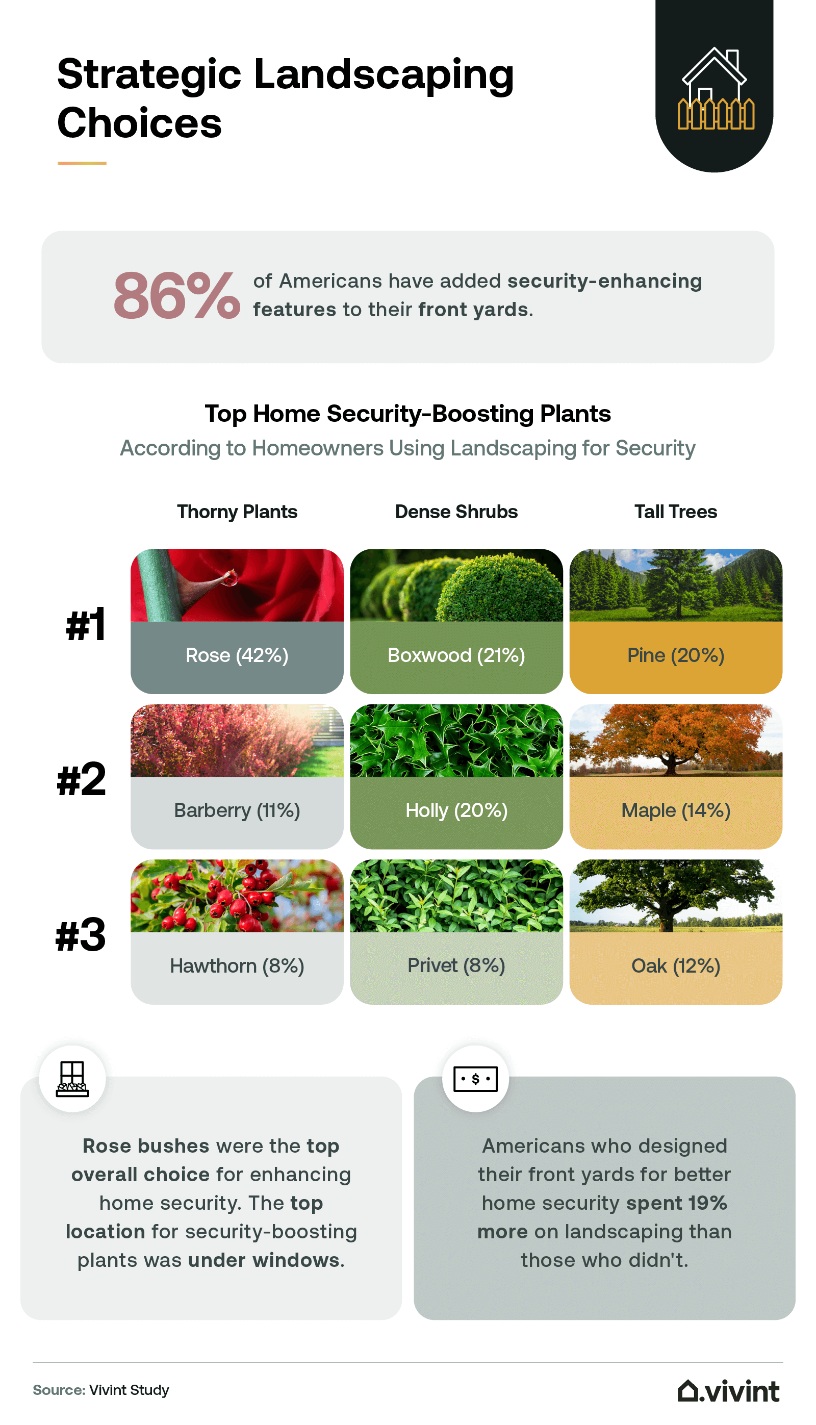 Information about which plants homeowners often use to protect their property.