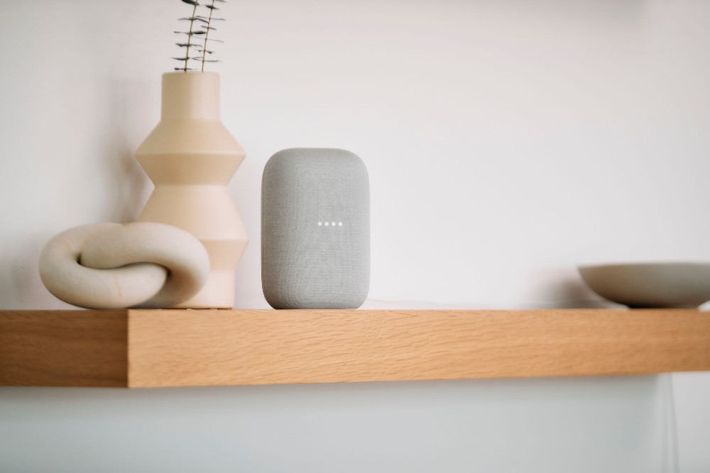 Google speaker.
