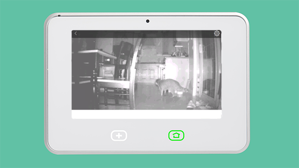 View vivint best sale cameras on tv