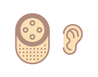 ear illustration