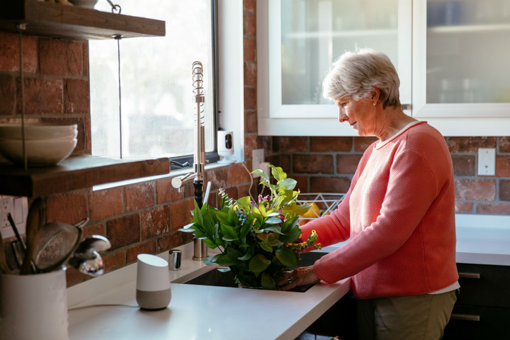 Elderly Woman Kitchen Indoor Camera Google Home