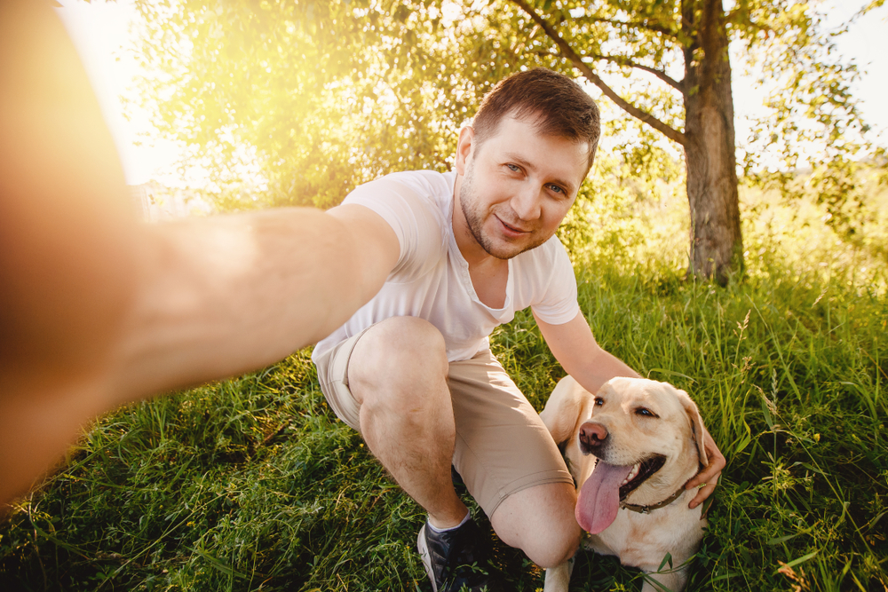 nest thermostat and pets