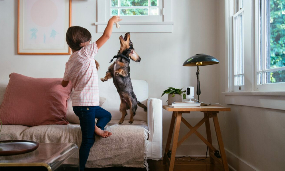 Young girl playing with her dog near a motion detector.