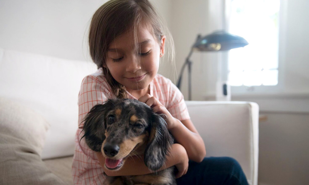 nest thermostat and pets